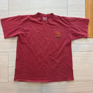 Vintage Cyrk Nature T-Shirt Men's Large Faded Maroon 90's Grunge